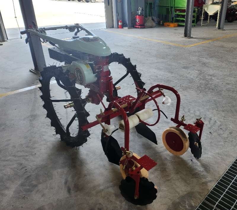 ���߱�) ����Ǻ���[150cm(������ ������)
